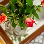 Apartment Mch Marina Charming House - Elegant In